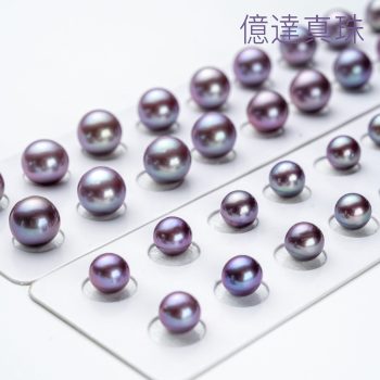 淡水紫真珠